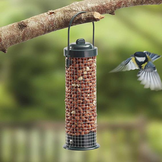 Nature's Market Wild Bird Nut Feeder